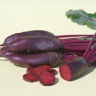 Буряк столовий Таунус F1