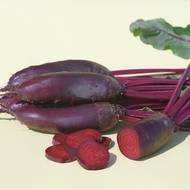 Буряк столовий Таунус F1