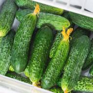 Огірок Конкурент за 1 г