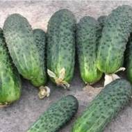 Огірок Крак за 0,5 г