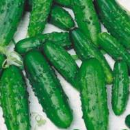 Огірок Іра F1 за 0,25 г