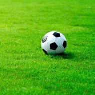 Газонная трава Спортивная