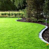 Газонна трава Посухостійка