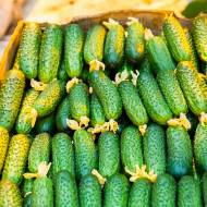 Огірок Фенікс плюс