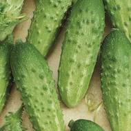 Огірок Аннушка F1 за 0,25 г