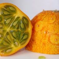 Ківано за 5 нас.