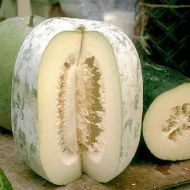 Восковий гарбуз Бенінказа за 5 нас.