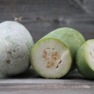 Восковий гарбуз Картон прайз за 5 нас.