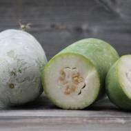 Восковая тыква Картон прайз за 5 сем.