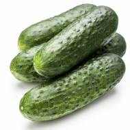 Огірок Кум і кума за 20 нас.