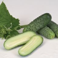 Огірок Крапелька за 1 г