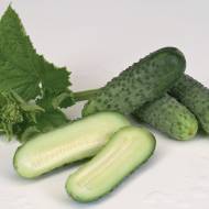 Огірок Крапелька за 1 г