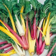 Мангольд Весняна веселка (суміш) за 3 г