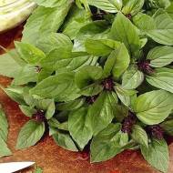 Базилік коричневий Мексиканський за 0,5 г