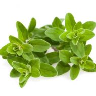 Майоран Гурман за 0,2 г