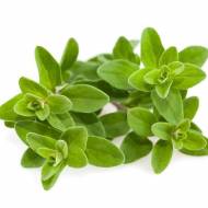 Майоран Гурман за 0,2 г