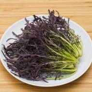 Мізуна червона за 0,5 г