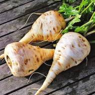 Пастернак Альбион