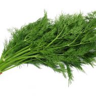 Укроп Зеленая долина
