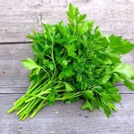 Петрушка Господиня (листова)