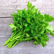 Петрушка Господиня (листова)