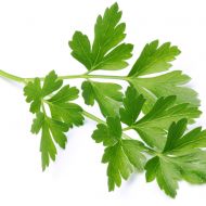 Петрушка Листовая Ароматная
