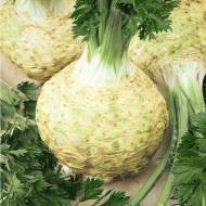 Сельдерей Президент (корневой) за 0,5 г