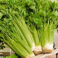 Сельдерей Нежный (листовой) за 1 г