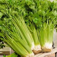 Сельдерей Нежный (листовой) за 1 г