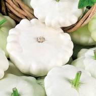 Патиссон Белый за 3 г