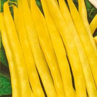 Фасоль спаржевая Лаура за 4 г