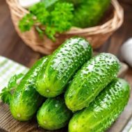 Огірок Сусіду на заздрість F1 за 10 нас.