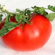 Томат Чудо сада за 0,1 г