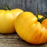 Томат Дикси Золотой гигант за 0,1 г