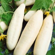 Огірок Білий делікатес (Китай) за 0,25 г