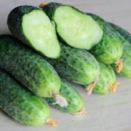 Огірок Бетіна F1