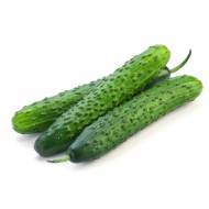 Огірок Китайський жаростійкий за 0,5 г