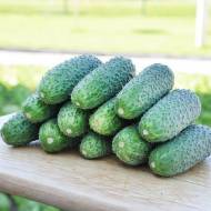 Огірок Кібрія