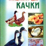 Птичий двор. Утки