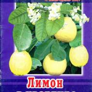 Лимон в квартире