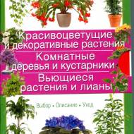 Цветочная радуга