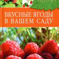 Вкусные ягоди в вашем саду