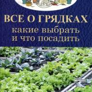 Все о грядках. Какие выбрать и что посадить