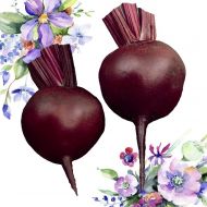 Свекла Гранатовый сок