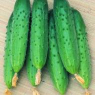 Огурец Салатный F1