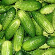 Огірок Фермер F1 за 0,25 г
