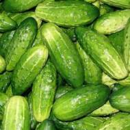 Огурец Фермер F1 за 0,25 г