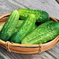 Огурец Засолочный F1