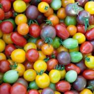 Комплект томатов «Томатная радуга»