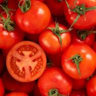 Комплект томатів «Помідорний іммігрант»